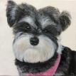 "Gracie" Acrylic Painting