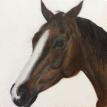 "Sterling - Summer Coat" Acrylic Painting