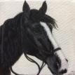 "Sterling - Winter Coat" Acrylic Painting