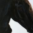 "Aramis" Acrylic Painting